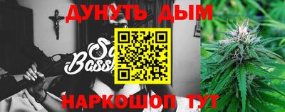 шишки Кимры